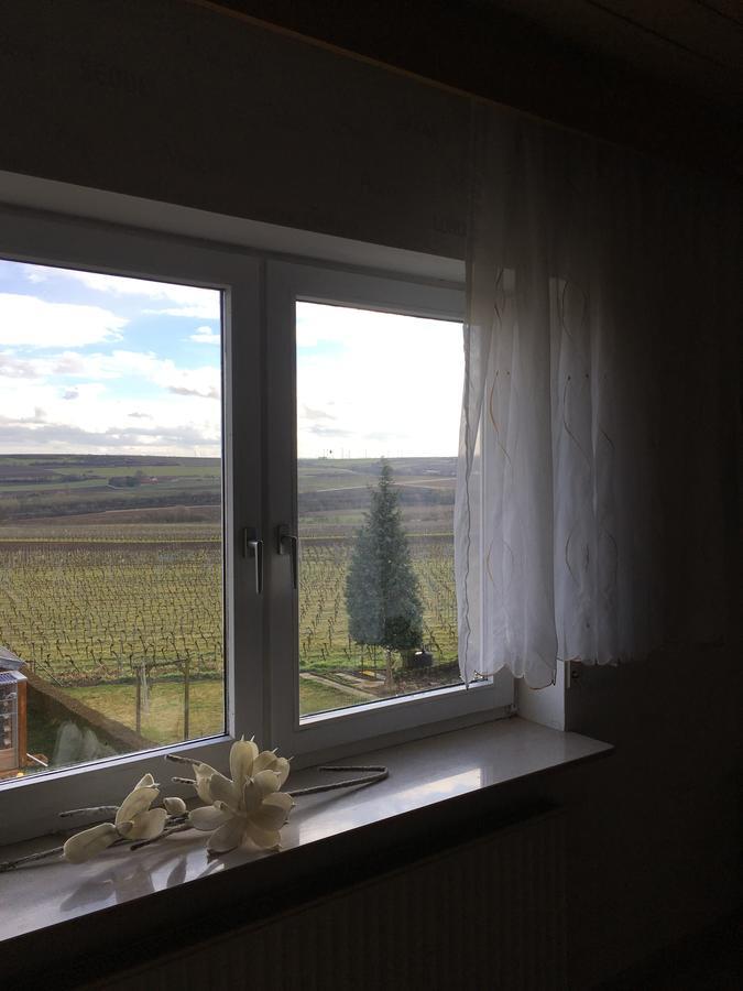 Monteurwohnung Ha-Wei -90 M2 Hangen-Weisheim Екстер'єр фото
